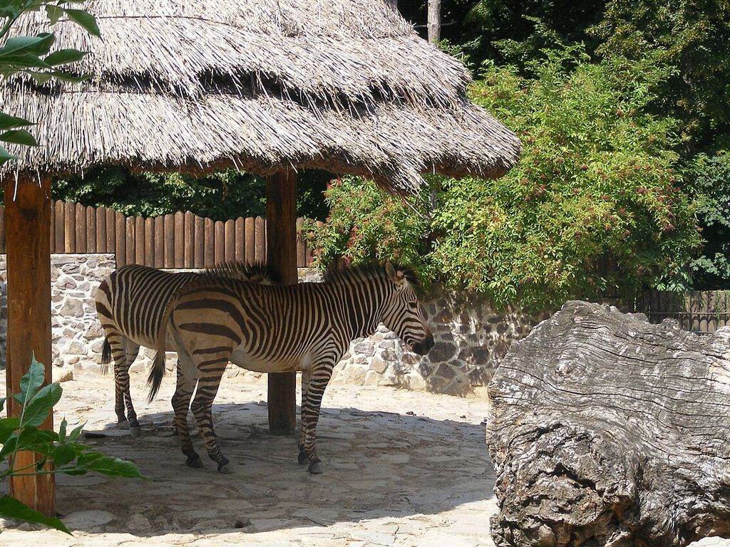 ZOO Bojnice